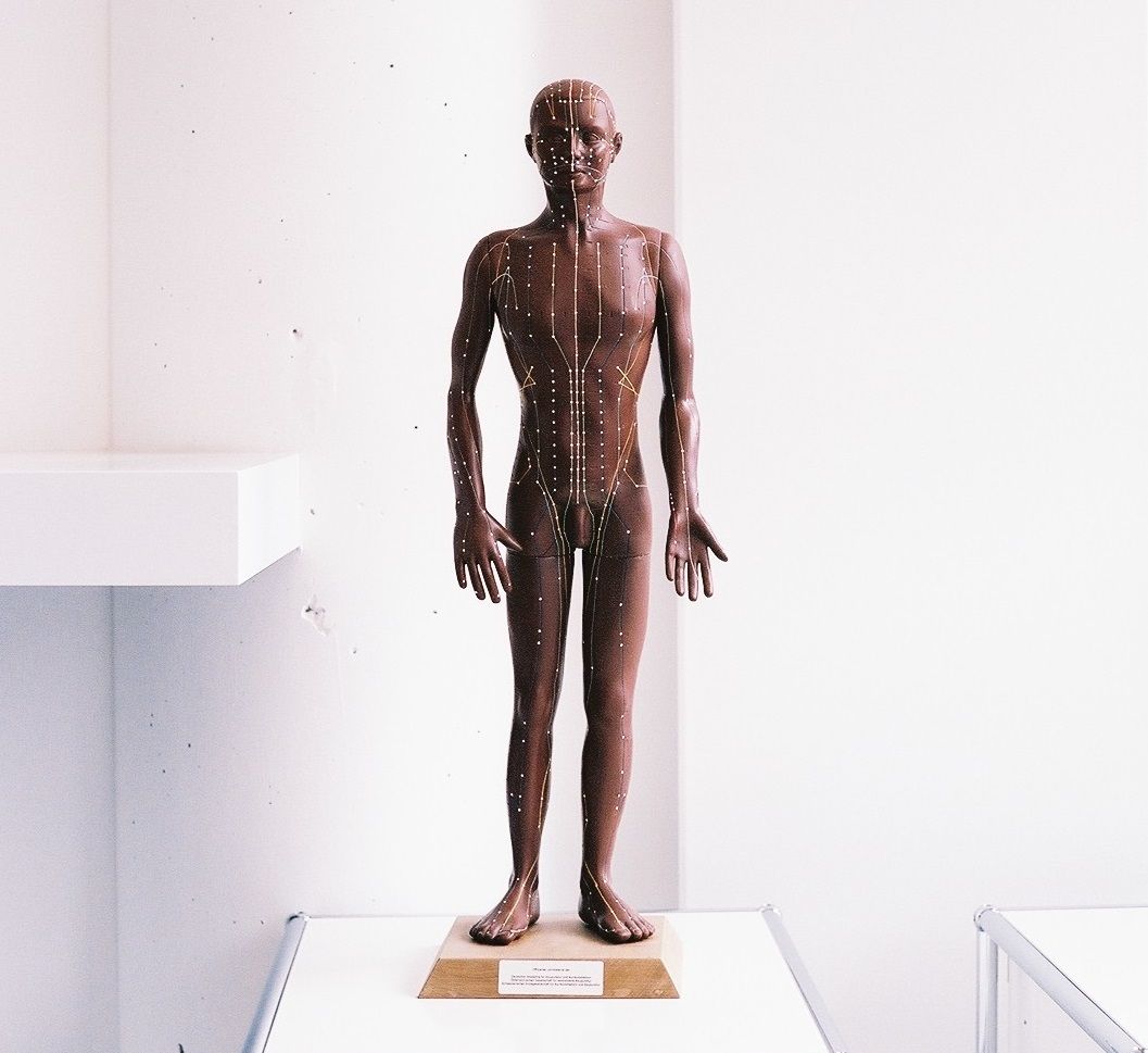 Darstellung der Akupunkturpunkte an einer Statue, Symbolbild für die Schmerztherapie mit Akupunktur