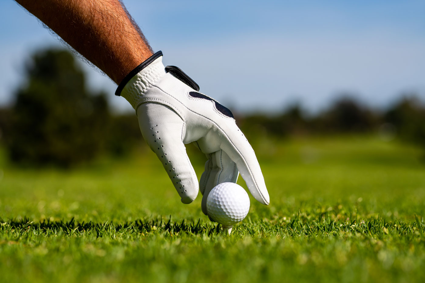 Vor dem Abschlag: Golfball wird auf das Tee gesetzt, Fokus der Golf-Physiotherapie auf Bewegungsabläufe
